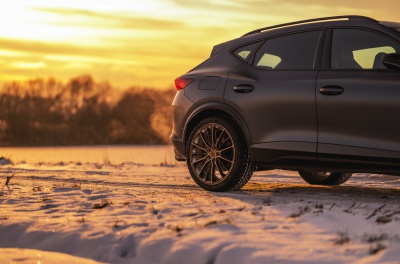 Cupra Formentor Concaver CVR7 Brushed Bronze