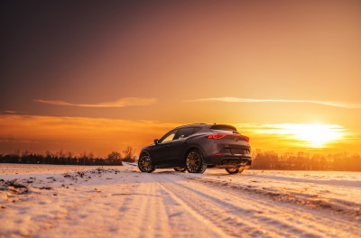 Cupra Formentor Concaver CVR7 Brushed Bronze