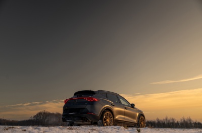 Cupra Formentor Concaver CVR7 Brushed Bronze