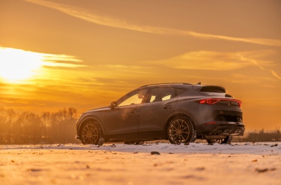 Cupra Formentor Concaver CVR7 Brushed Bronze