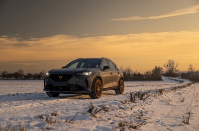 Cupra Formentor Concaver CVR7 Brushed Bronze