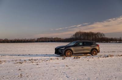 Cupra Formentor Concaver CVR7 Brushed Bronze