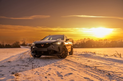 Cupra Formentor Concaver CVR7 Brushed Bronze